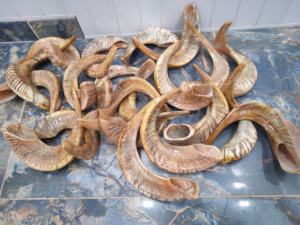 Shofar artisanal en corne de bélier poli, style religieux, artisanat naturel original, prix d'usine en gros - Product Image 4