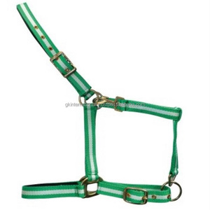 Vente en gros d'équipement pour chevaux équestres fait main Sangle fantaisie en nylon bicolore licou coloré en nylon pour chevaux à bas prix - Product Image 5