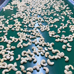 Noix de cajou en gros de l'usine du Vietnam, noix de cajou W180 W240 Santigo, exigences OEM ODM pour les clients - Product Image 1