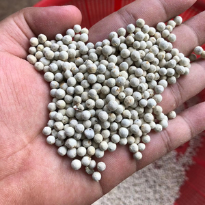 POIVRE BLANC DU VIETNAM EN GROS POUR L'EXPORTATION BONNE QUALITÉ MEILLEUR PRIX - Product Image 1