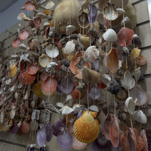Campana de Viento de Conchas Marinas Naturales ECO, Decoración Colgante Hecha a Mano, Estilo Náutico, Venta al Por Mayor para Exportación - Product Image 4