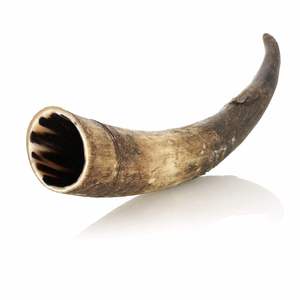 Corne à boire viking sculptée, nouveau design, la plus vendue, avec logo, authentique, sans fuites, corne à bière viking nordique, sans danger pour les aliments - Product Image 1