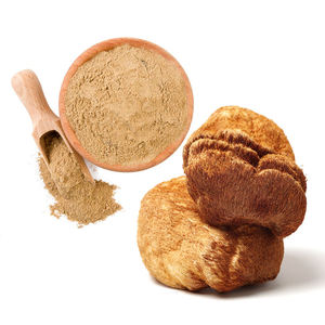 Poudre de champignon Crinière de lion 100 % pure, séchée naturellement, qualité alimentaire, favorise l'équilibre hormonal – Meilleure vente - Product Image 5