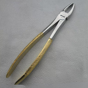 Forceps dentaires avec poignée ergonomique pour usage professionnel, acier inoxydable de haute qualité, extraction manuelle des dents chez l'adulte - Product Image 1