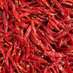 Piment rouge naturel frais et épicé, sans tige, du Vietnam, marché alimentaire international Giang, qualité supérieure, export en vrac - Product Image 3