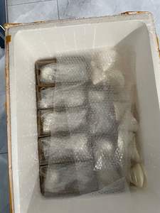 Copas de Vino de Concha de Mar de Moda 2025, Hechas a Mano en Vietnam, para Cenas de Lujo y Mesas de Estilo Costero - Product Image 5