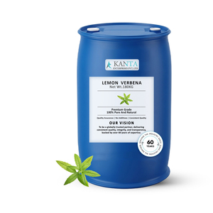 Feuilles de Verveine Citronnée Indienne Séchées – Matière Première Botanique en Gros pour les Marchés Mondiaux - Product Image 3