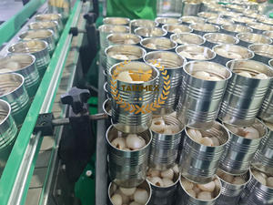 Venta al por mayor de lichi enlatado de muy alta calidad, fruta de lichi enlatada súper deliciosa en jarabe, forma entera hecha en Vietnam - Product Image 5