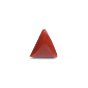 Natural Red Coral Loose Gemstone 6.2 Carat Triangle Oval Cabochon 7mm 4mm Certified Wholesale - Product Image 1