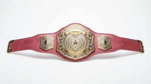 Personalized Championship <b>Belt</b> Custom Sports Trophy <b>Belt</b> Gold Plated Metal Award for <b>Wrestling</b> Boxing - Product Image 3