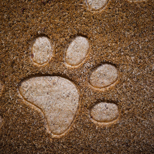 Alfombra de Entrada CocoPaw de Fibra de Coco Natural con Reverso de PVC, Alfombra Decorativa con Patrón para Interiores y Exteriores, Uso Doméstico - Product Image 4