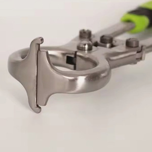 Ensemble d'instruments professionnels pour l'élevage, en acier inoxydable de haute qualité, pour la castration et les soins vétérinaires en ferme - Product Image 6