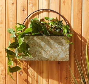 Macetero de Metal Hecho a Mano de Diseño Creativo y Lujoso, Kit de Jardinería RoyalDecoration, Macetero Atractivo y Económico - Product Image 1