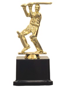 Fast Delivery Golden Cricket <b>Trophy</b> <b>Cup</b> Factory Price Sport Competition Awards Gift Plastic <b>Trophy</b> Customized 2D/3D Design UV - Product Image 1