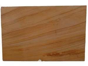 Losas Grandes de Arenisca de Alta Calidad, Diseño Moderno, Superficie Pulida, Garantía de 2 Años, Aplicaciones Residenciales y Comerciales, Modelo 3D - Product Image 1