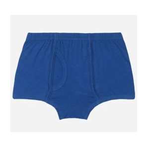 Boxers imprimés tendance pour garçons, en coton doux, respirants, respectueux de la peau, légers et extensibles, sous-vêtements pour enfants, vente en gros, marque privée - Product Image 1
