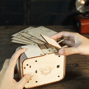 Puzzle 3D in Legno Music Park, Kit Modellini Fai-da-Te, Carillon con Luce Notturna, Regali di Compleanno e Natale - Product Image 6