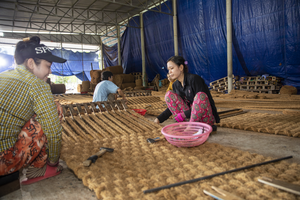 Eco-Friendly <b>Coir</b> <b>Mat</b> <b>Roll</b> Made from Natural Coconut Fiber, 65kg, 2*10m, Brown For Walkway Paving For Korean Market - Product Image 3