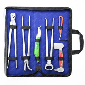 Kit de herramientas de herrador personalizado, pinza de clavos resistente, remachador de 13 ", extractor de clavos, amortiguador de ranurado de doble extremo de acero inoxidable - Product Image 1