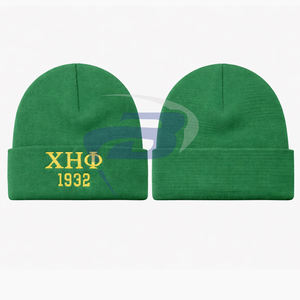 Gorro de Invierno de Punto de la Hermandad Chi Eta Phi, Verde y Amarillo, Bordado en 3D, Gorro de Invierno de Punto Premium - Product Image 3