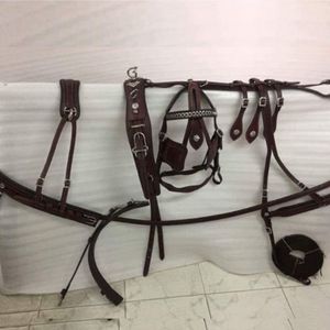 Juego de arnés de conducción de caballos completo Premium de cuero fuerte con herrajes duraderos - Product Image 1