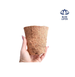 Blue Lotus Coir Flower <b>Pots</b> Biodegradable Eco-Friendly Durable Planters Garden Use <b>Square</b> Design Not Coated Vintage Classic - Product Image 1