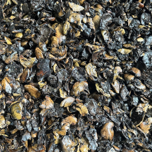 Résidus de coques de noix de cajou extraits (ECNS) pour combustible biomasse – Meilleur prix en gros – Fournisseur fiable du Vietnam - Product Image 4