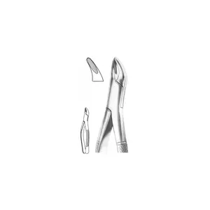 American Pattern EXTRACTION FOCEPS Instruments de chirurgie dentaire pour les racines et les centres supérieurs - Product Image 2
