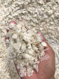 Écailles de poisson séchées de première qualité, écailles de poisson-serpent séchées, écailles de tilapia du Vietnam/ Mme Lima - Product Image 5