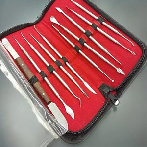 Juego de 12 piezas de herramientas dentales de acero inoxidable, kit de higiene bucal, limpieza dental, instrumentos dentales. - Product Image 3