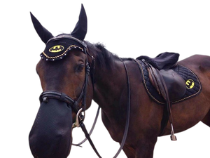 Horse Batmans Saddle Pad Matching <b>Bonnets</b> Cotton Fabric Durable Polycotton Batmans All-Purpose Saddle pad - Product Image 2