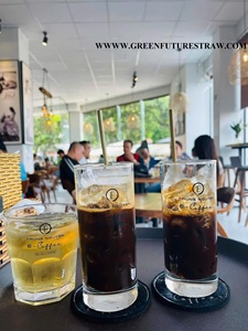 Accesorios para vasos de pajitas de hierba de calidad de Green Future Viet Nam - Product Image 4