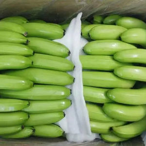 PLÁTANO FRESCO DE VIETNAM A PRECIO ECONÓMICO - EXPORTACIÓN DE PRIMERA CALIDAD - Product Image 2