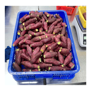มันเทศสีม่วงแช่แข็งพรีเมียมจากเวียดนาม ผู้ผลิต OEM ราคาขายส่งที่แข่งขันได้สำหรับผู้นำเข้าทั่วโลก - Product Image 1