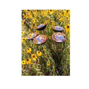 Juego de 5 Macetas de Cobre Poppy Sways - Product Image 2