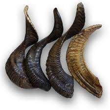 แตรเป่าลมทางศาสนาสำหรับงานสวดมนต์และงานเฉลิมฉลองแตรเป่าแตรแตรแตรเป่าตามธรรมชาติสำหรับเสียงศักดิ์สิทธิ์ - Product Image 5