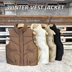 Chaleco Acolchado para Hombre al por Mayor, Chaqueta de Invierno sin Mangas de Alta Calidad, Etiqueta Personalizada - Product Image 4