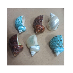 Porta Servilletas Hecho a Mano en Vietnam con Diseño de Caracoles y Conchas Marinas para Decoración de Mesa de Banquete de Hotel con Temática Oceánica - Product Image 3