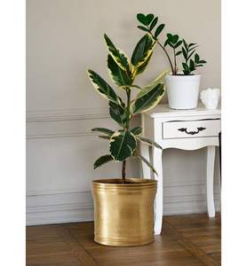 Jardinière en acier inoxydable / Pot de fleurs en métal / Jardinières pour plantes d'extérieur et d'intérieur, pot de fleurs en métal avec plante verte pour - Product Image 6