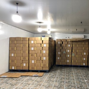 Rebanada de Mango Seco de frutas tropicales, textura suave Amarilla Dorada, sabor dulce hecho con secado publicitario para exportación en todo el mundo por 99 Gold Data - Product Image 6