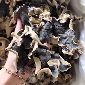 เห็ดหูแห้งคุณภาพพรีเมี่ยม | ขายส่งส่งออกจากเวียดนาม - Product Image 6