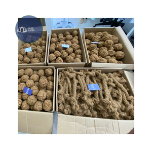 Jouets à mâcher pour chiens, nœuds moyens, jouets pour animaux de compagnie durables pour l'intérieur, emballage en carton - Product Image 4