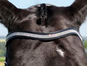 สายรัดข้อมือหนังรูปม้าวิบวับคริสตัลรูปตัวยู - Product Image 2