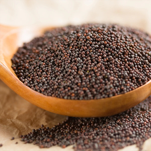 Graines de moutarde de qualité supérieure en vrac, qualité alimentaire, stock disponible, fournisseur d'exportation de confiance - Product Image 6