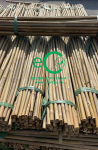 Eco2go Vietnam – Piquets en bambou 100 % naturel, design moderne et épuré, pour soutenir les semis, plantes en pot, fleurs et désherbage - Product Image 4