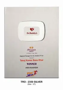 Trofeo Profesional, Placa de Reconocimiento para Eventos Corporativos, Premio de Meta Plateado para Logros Empresariales - Product Image 2