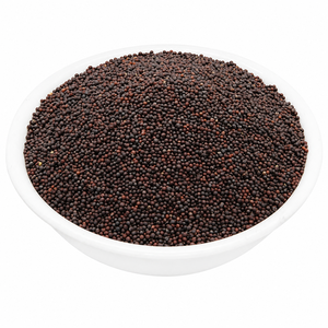 Graines de moutarde Aqua Vriksha Premium |   Graines de moutarde indiennes entières naturelles pour la cuisine, les cornichons et les mélanges d'épices - Product Image 2