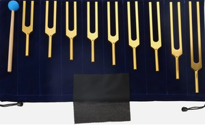 Ensemble de diapasons dorés de 9 pièces avec mallette en velours pour instruments de musique - Product Image 4