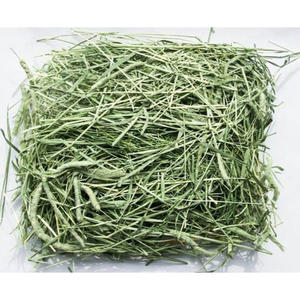 Heno de Timothy, Heno Natural a Granel para Animales Pequeños, Distribución Mayorista a Nivel Mundial - Product Image 3