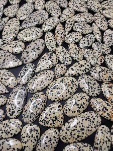Jaspe Dálmata Natural, Piedras Preciosas Sueltas al por Mayor, Lote a Granel, Corte Cojín Pulido para Suministros de Joyería - Product Image 2